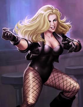 Black Canary - Adult comics character featured in 12 comics - Profile