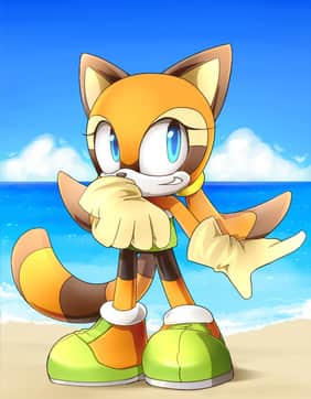 Marine the Raccoon - Adult comics character featured in 10 comics - Profile