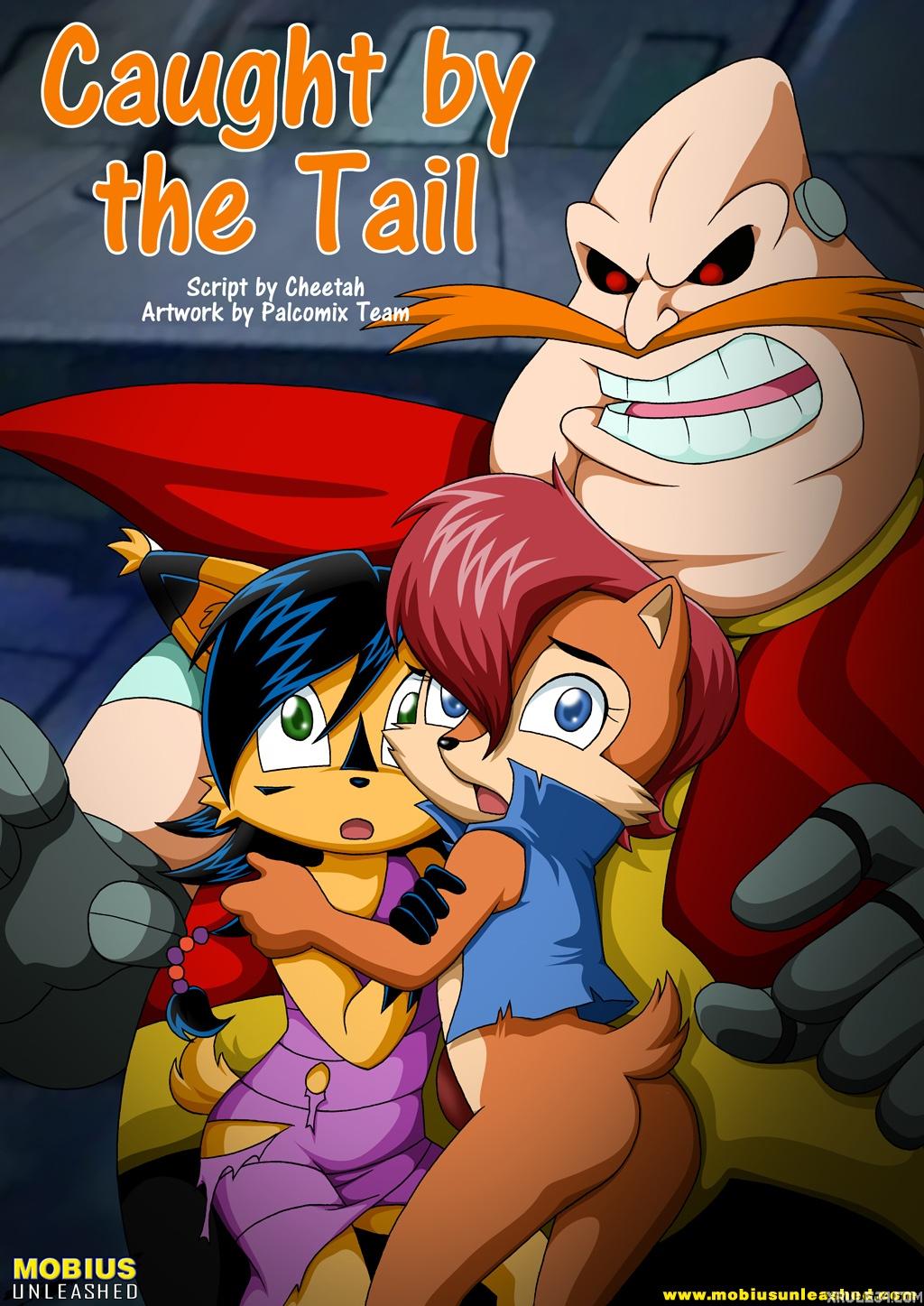 Caught by the Tail - adult comic cover