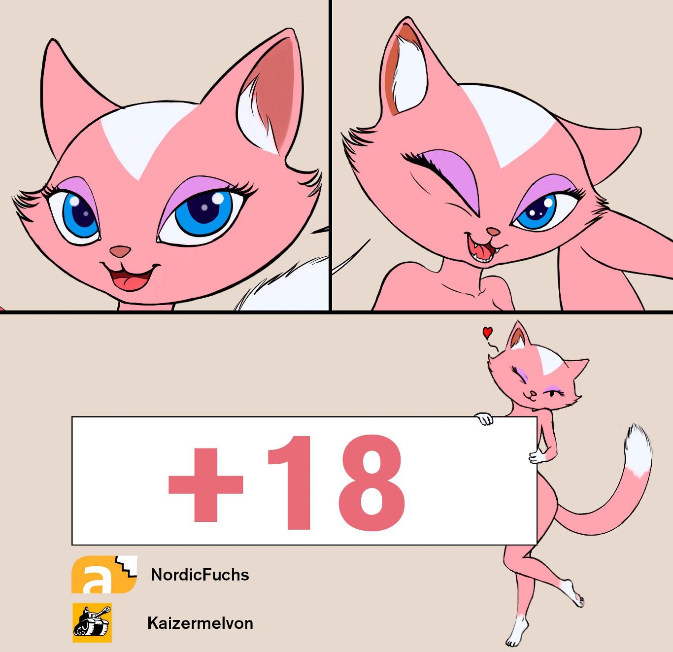 Danger Rangers Kitty teaches you - adult comic cover