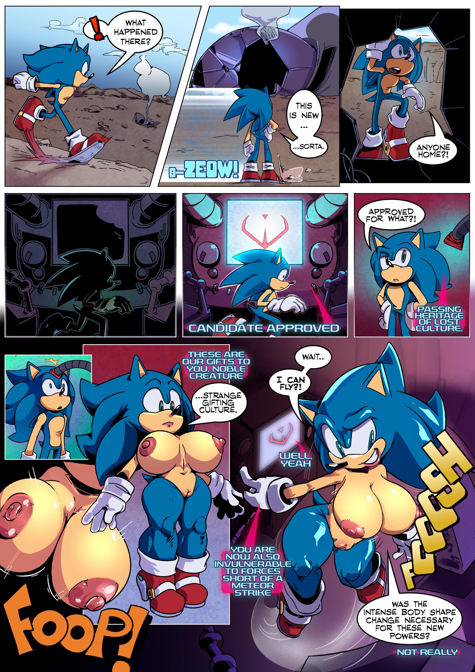 Legacy - Sonic Rule 63 - adult comic cover
