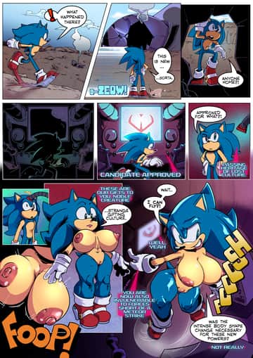 Legacy - Sonic Rule 63 - Read free adult comic online