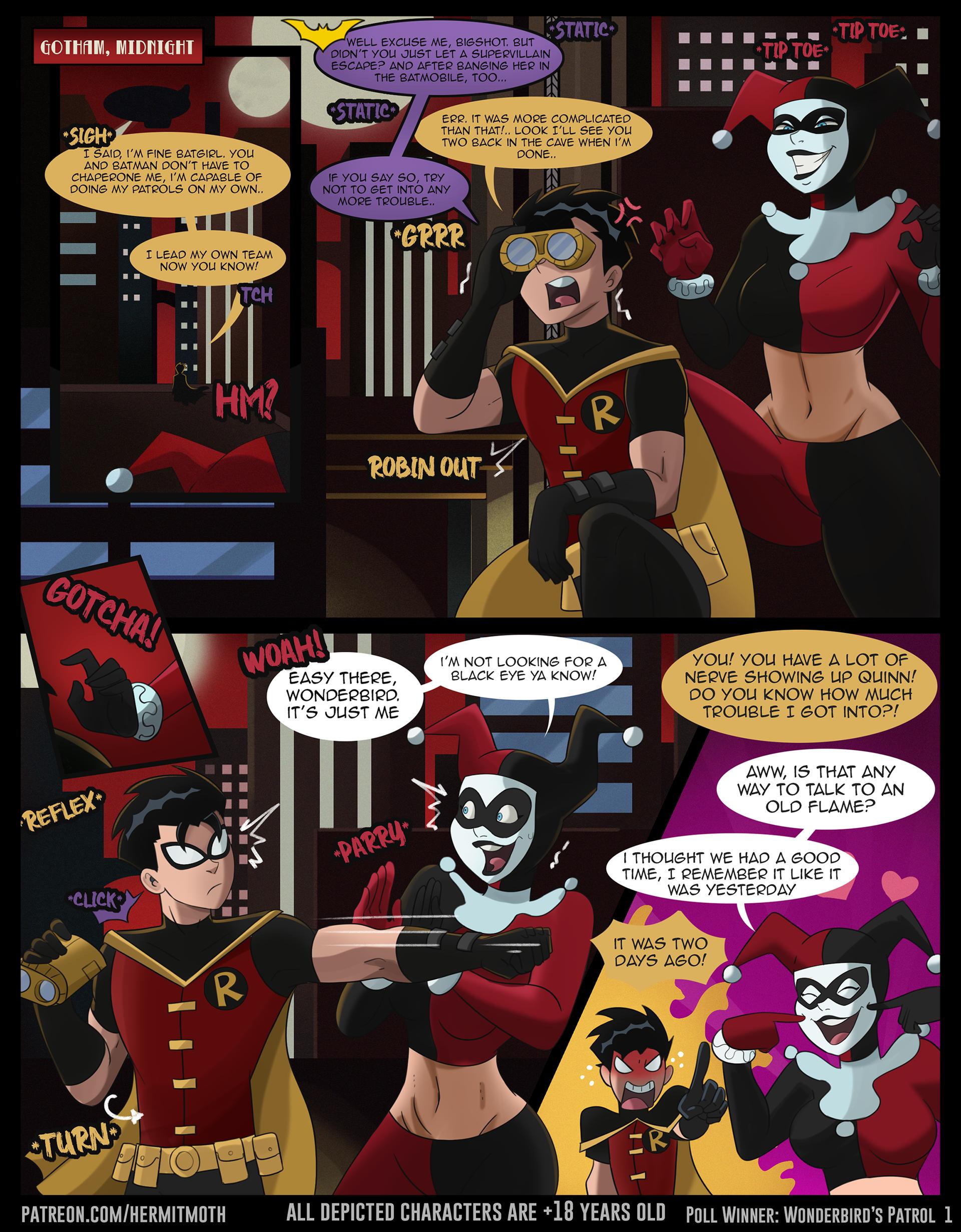 Poll Winner: Wonderbird's Patrol - adult comic cover