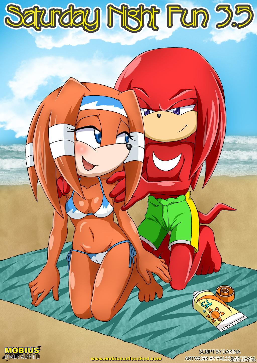 Saturday Night Fun 3.5 - adult comic cover
