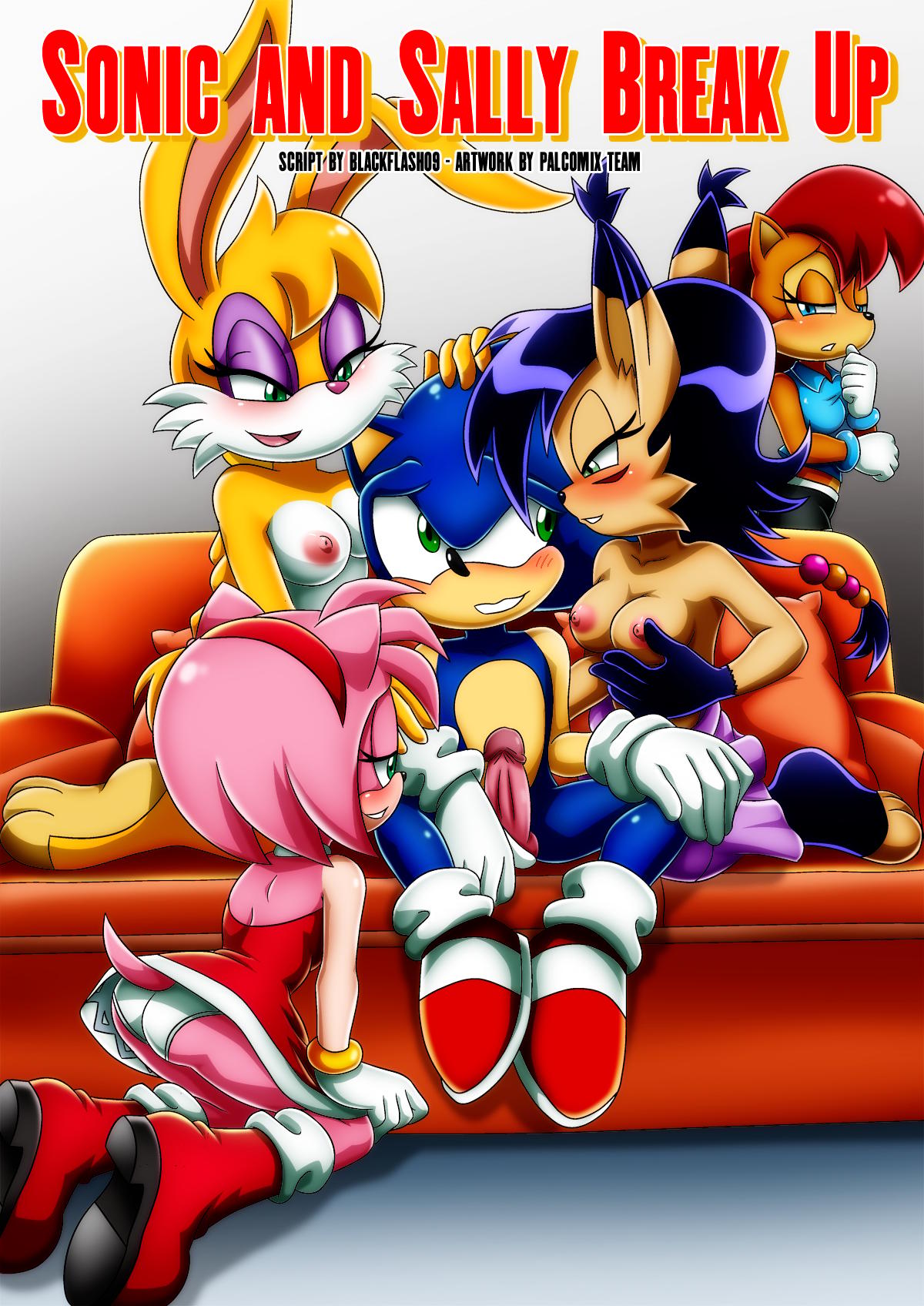 Sonic and Sally Break Up - adult comic cover