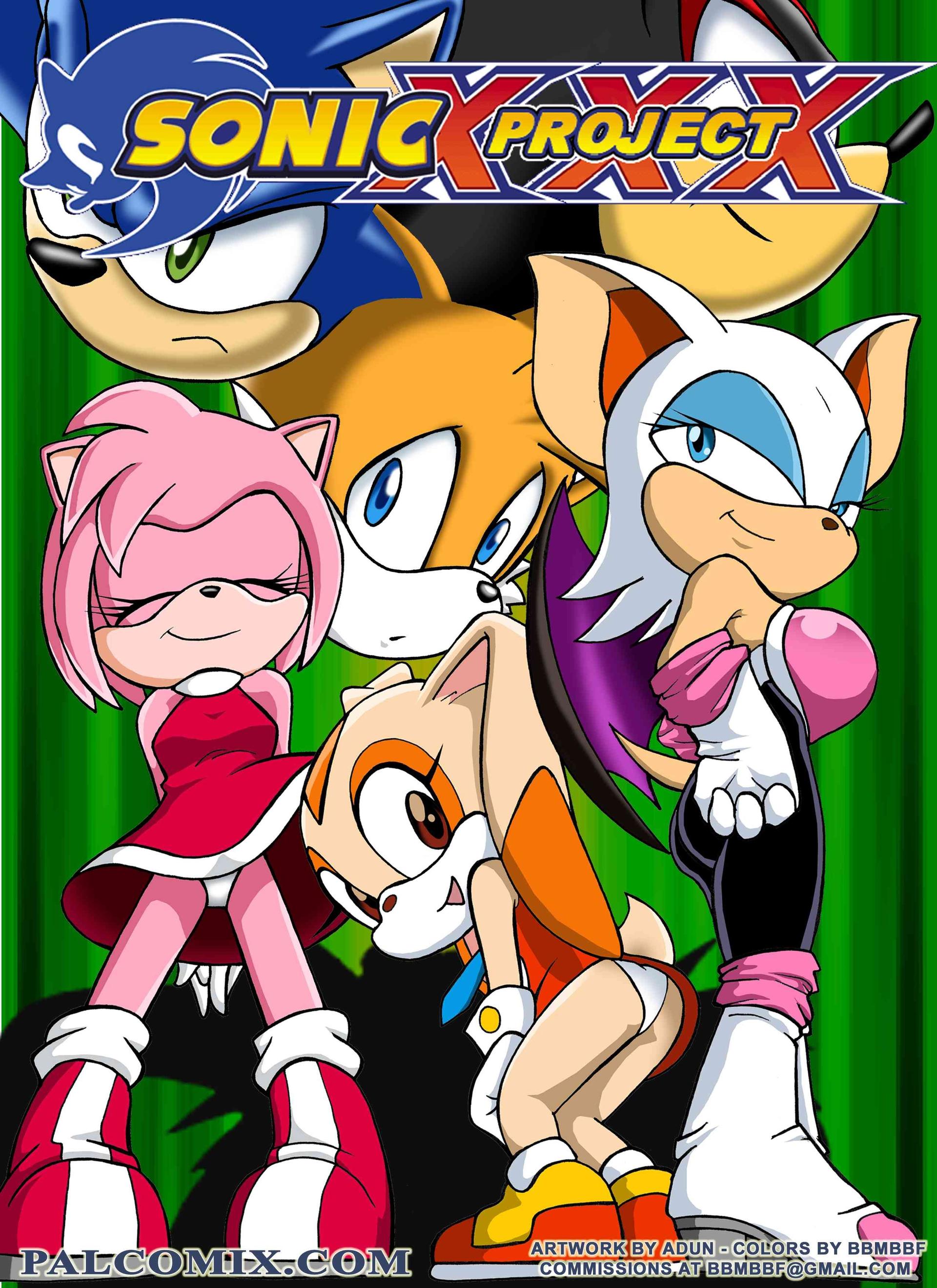 Sonic XXX Project - adult comic cover