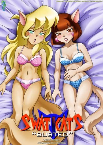 Swat Kats Busted - Read free adult comic online