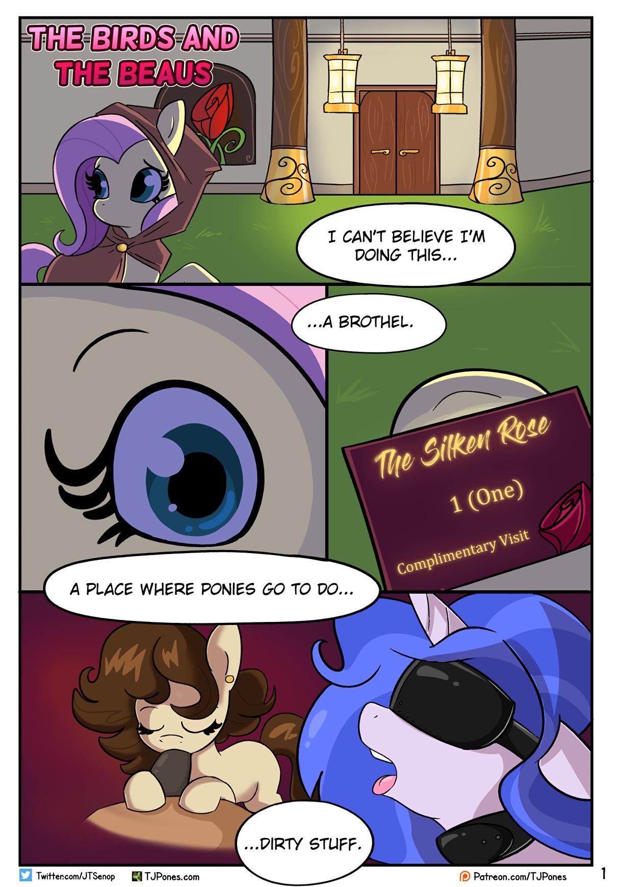 The Birds and the Beaus - adult comic cover