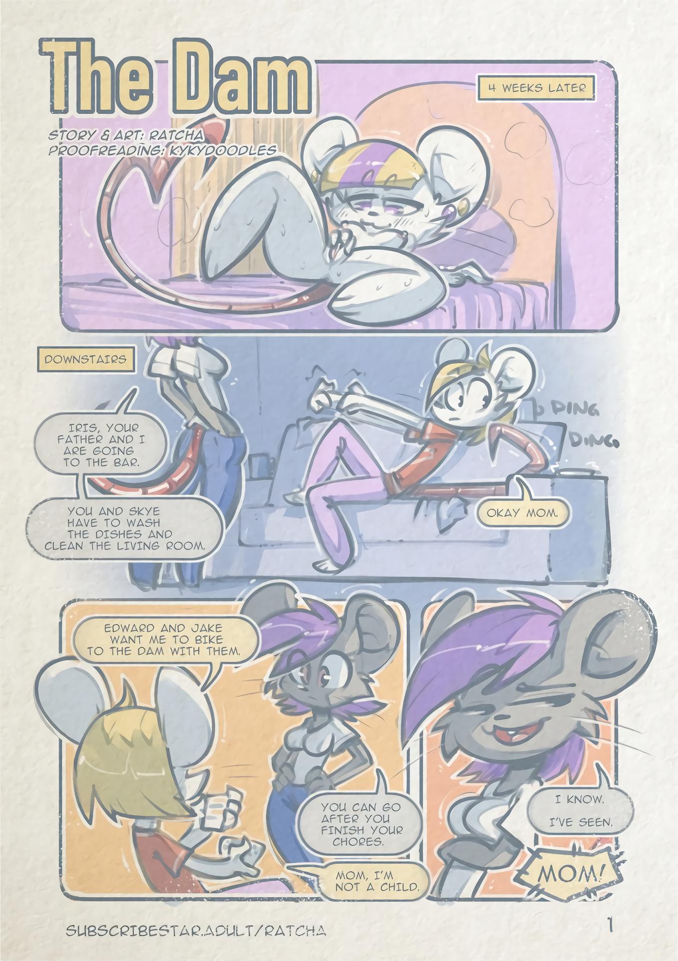 The Dam - adult comic cover