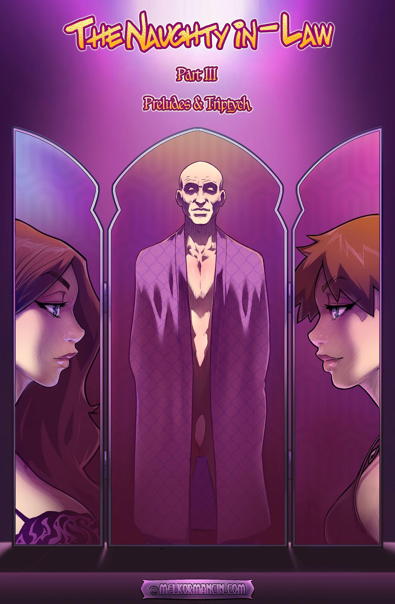 The Naughty In Law 3 - adult comic cover