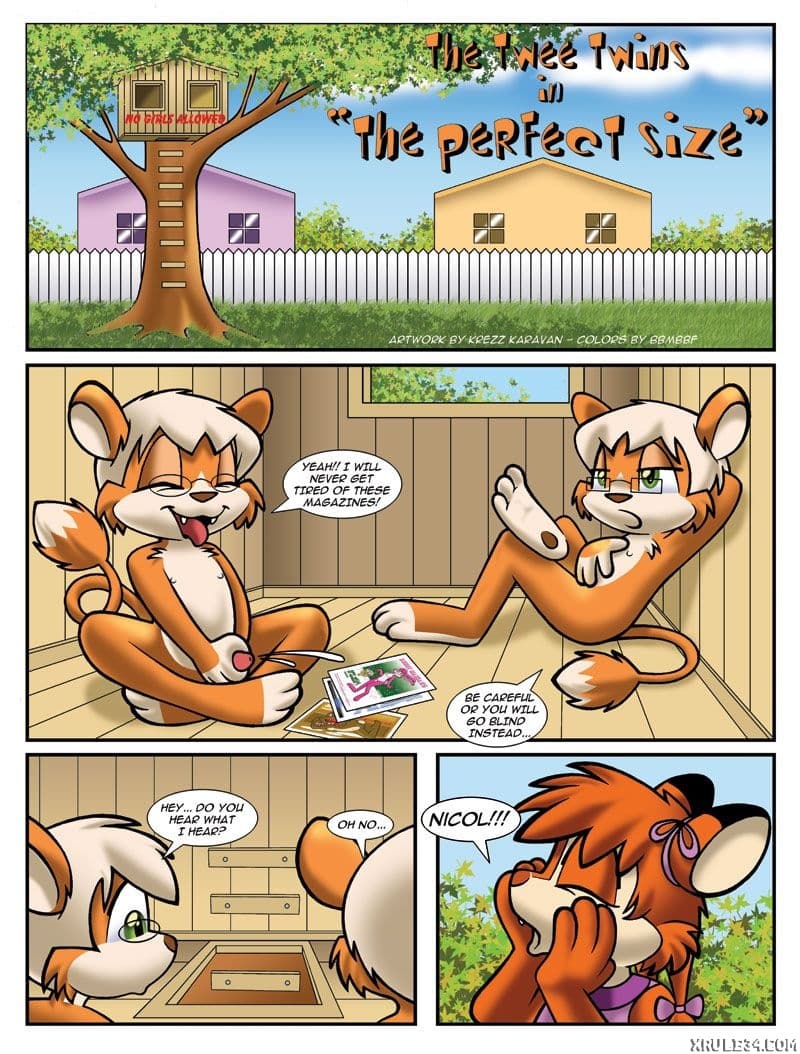 The Pefect Size - adult comic cover