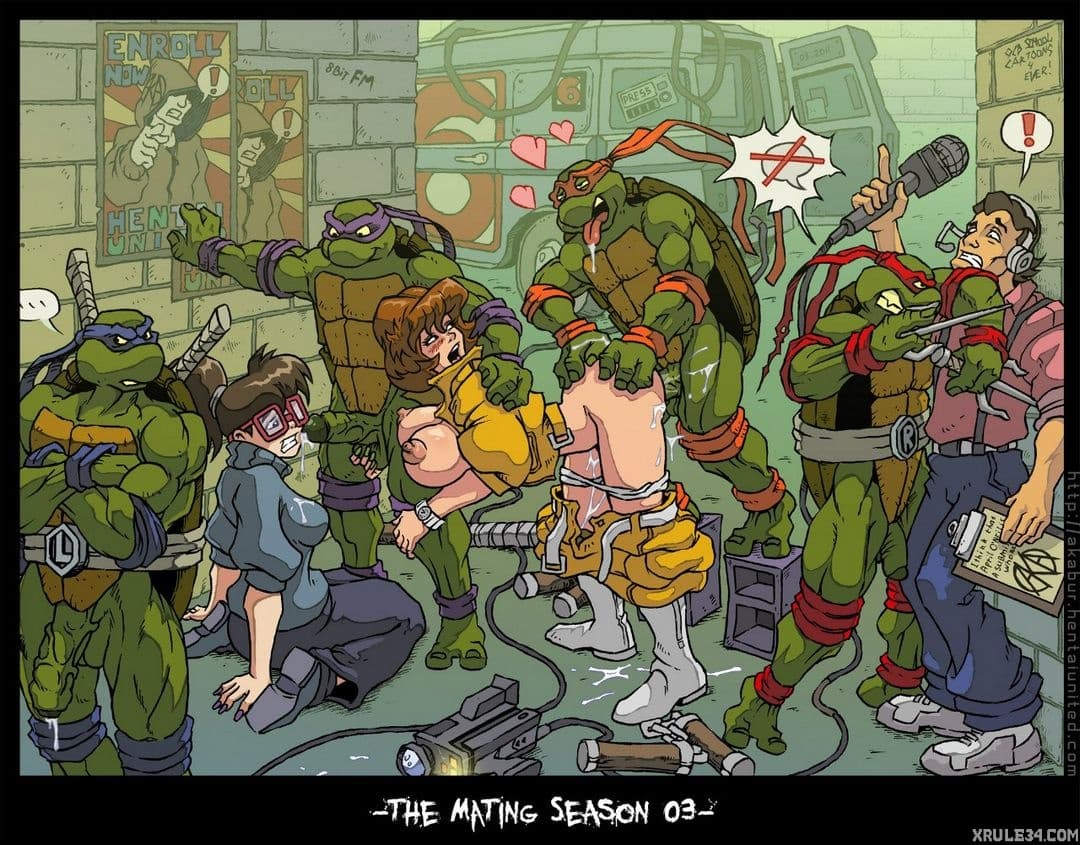 Turtles - adult comic cover