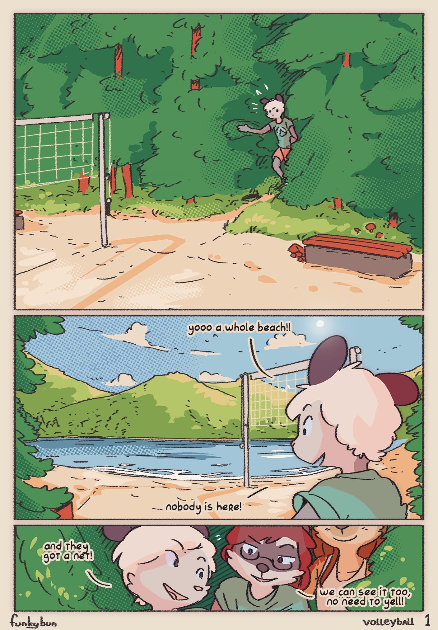 Volleyball - adult comic cover